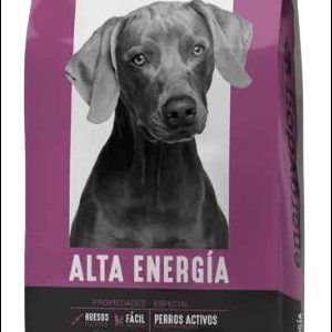 HIGH ENERGY - Energydog (20Kg.)